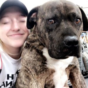 Meet your Posher, Taylor